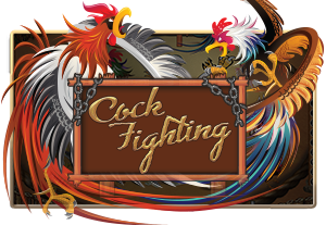 Cock Fighting