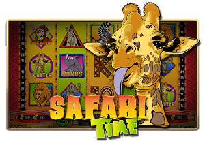 Safari Time